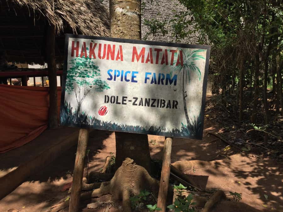 Zanzibar:Stone Town & Spice Farm Private Tour Lunch Included - Who should book this tour