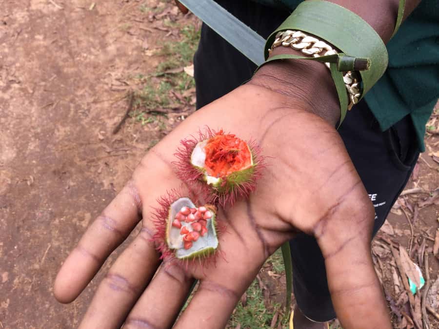 Zanzibar:Stone Town & Spice Farm Private Tour Lunch Included - Why the included lunch matters
