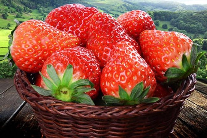 Zhujiajiao Water Town Private Tour with Local Farm Visit and Fruit Picking - What private transport changes