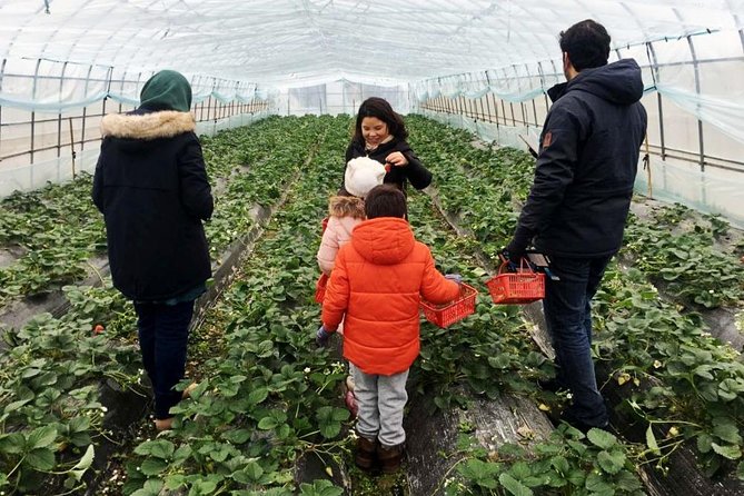 Zhujiajiao Water Town Private Tour with Local Farm Visit and Fruit Picking - How much value you get for $170